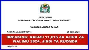 Ajira za walimu 2024/2025