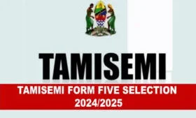 Majina ya Waliochaguliwa Kidato cha Tano 2025 na Vyuo vya Kati