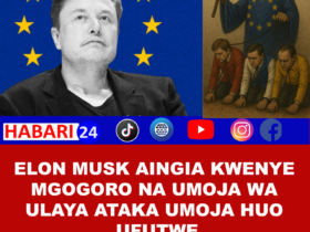 Marekani yashutumu Umoja wa Ulaya kwa “shambulio dhidi ya Wamarekani” baada ya kutozwa faini kwa X