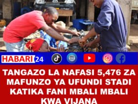 🇹🇿 TANGAZO: Nafasi 5,476 za Mafunzo ya Ufundi Stadi kwa Vijana wa Kitanzania – Fursa ya Kujifunza na Kujiajiri!