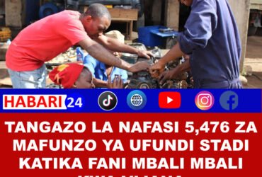 🇹🇿 TANGAZO: Nafasi 5,476 za Mafunzo ya Ufundi Stadi kwa Vijana wa Kitanzania – Fursa ya Kujifunza na Kujiajiri!