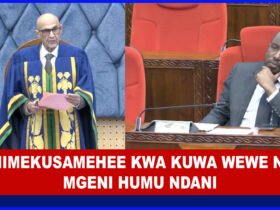 Spika wa Bunge amuonya Mbunge wa Tunduru Kaskazini, Ado Shaibu Ado