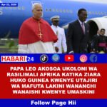Papa Leo XIV amekosoa “ukoloni” wa rasilimali za madini za Afrika
