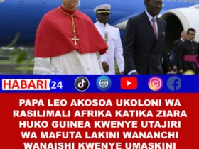 Papa Leo XIV amekosoa “ukoloni” wa rasilimali za madini za Afrika