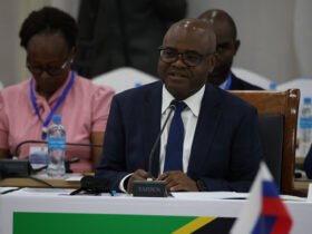 Tanzania-Russia cooperation key to food security – Mkumbo