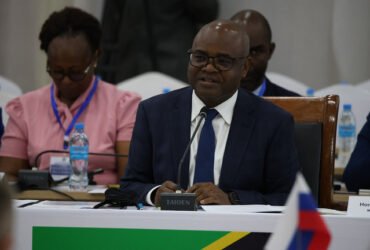 Tanzania-Russia cooperation key to food security – Mkumbo