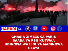 Chaos erupts in Paris after PSG wins Champions League (VIDEOS)