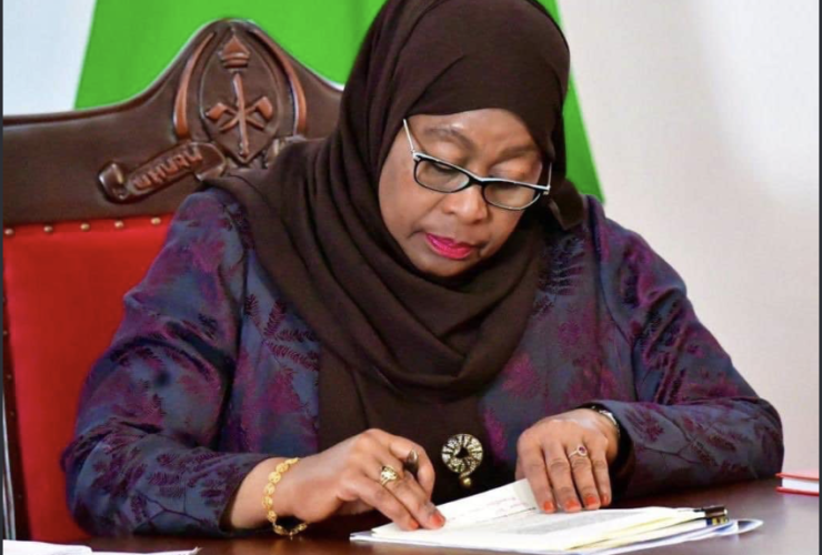 President Samia Appoints 22 New District Commissioners, Transfers 26 Others; DEDs and DASs Also Affected