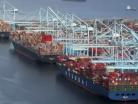 Dar es Salaam Port Rises to 255th Globally in CPPI 2025, Surpassing Mombasa, Durban and Cape Town