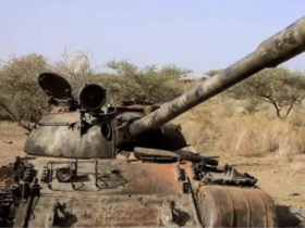 El riesgo de que el conflicto se extienda La preocupación actual no se limita a Etiopía y Eritrea, ya que el Cuerno de África acumula varios conflictos simultáneos. Al oeste de Tigray se encuentra Sudán, un país sumido desde hace más de tres años en una cruenta guerra civil, mientras que al norte se sitúa el territorio eritreo. Un poco más lejos aparece Egipto, actor que mantiene una relación especialmente sensible con Adís Abeba debido a la disputa histórica en torno a la Gran Presa del Renacimiento Etíope y al consiguiente reparto de las aguas estratégicas del río Nilo. Adís Abeba ha acusado a Sudán y Egipto de respaldar a la oposición armada, algo que ambos países niegan. La existencia de varios actores regionales con intereses diferentes aumenta la posibilidad de que un conflicto inicialmente localizado termine conectado con otras disputas. Estados Unidos ya ha advertido de las consecuencias. Washington ha pedido a Etiopía y Eritrea moderación y ha señalado que una nueva guerra entre ambos países pondría en riesgo su cooperación con los dos Gobiernos. La Unión Africana también ha llamado a evitar acciones o declaraciones capaces de deteriorar todavía más la estabilidad regional. Existe además un elemento que hace especialmente sensible la situación: el mar Rojo. Eritrea dispone de aproximadamente 1.000 kilómetros de costa, ocupando una posición sumamente estratégica junto a una de las principales rutas marítimas del planeta. En consecuencia, en un momento en el que la navegación por el mar Rojo y el estrecho de Bab el Mandeb ya se encuentra sometida a fuertes tensiones internacionales, el estallido de cualquier guerra entre Etiopía y Eritrea tendría consecuencias críticas que podrían superar ampliamente el ámbito local. La posición geográfica de Eritrea ha adquirido todavía más importancia durante la actual crisis de Oriente Próximo. Reuters ha señalado que Asmara está intentando recuperar relevancia internacional precisamente aprovechando su posición estratégica en el mar Rojo. El antecedente más preocupante de esta crisis es la guerra fronteriza entre Etiopía y Eritrea de 1998-2000, un conflicto que se cobró decenas de miles de vidas y que, aunque se cerró formalmente mediante un acuerdo de paz, requirió casi dos décadas para alcanzar una normalización definitiva. Si bien la reconciliación escenificada en 2018 demostró la capacidad de ambos países para reconstruir sus relaciones, la ruptura actual evidencia, por el contrario, que aquella arquitectura diplomática era mucho más frágil de lo que parecía a simple vista. La pregunta fundamental ahora no es solamente si hay tropas eritreas en Tigray, sino qué misión estarían cumpliendo si finalmente se confirma su presencia.